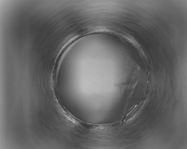 X0000059840806200511041812