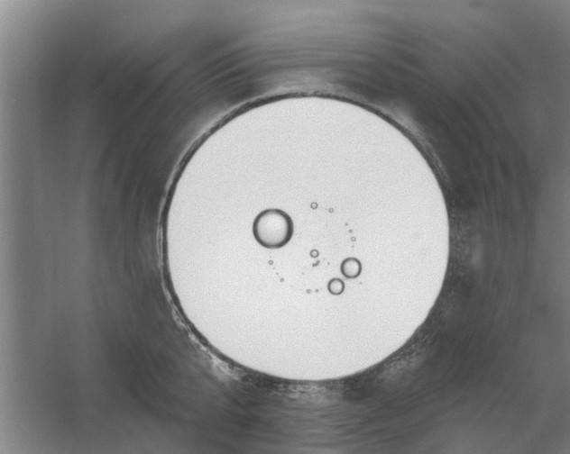 X0000059840807200511041812