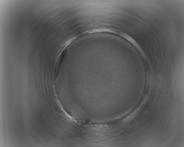 X0000059840809200511041811