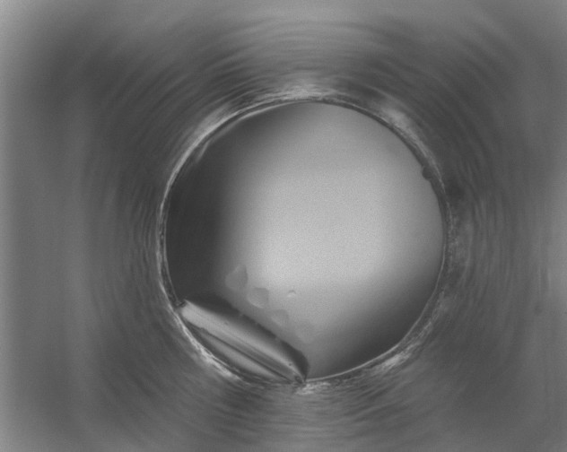 X0000059840810200511041811