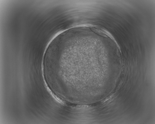 X0000059840811200511041811