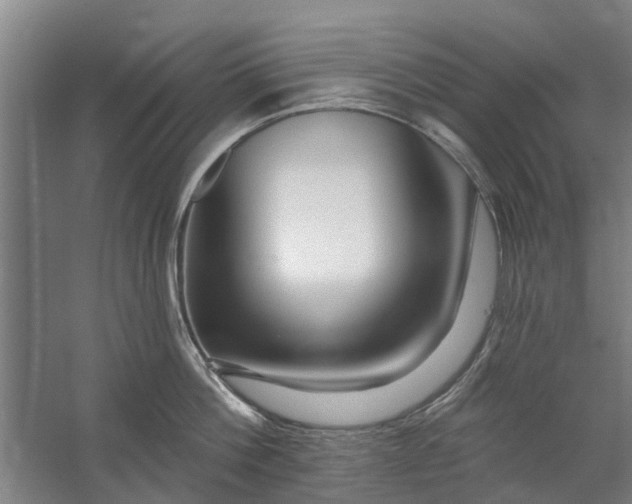 X0000059840812200511041811