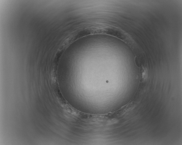 X0000059840819200511041811