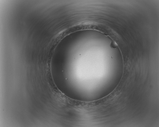 X0000059840821200511041811