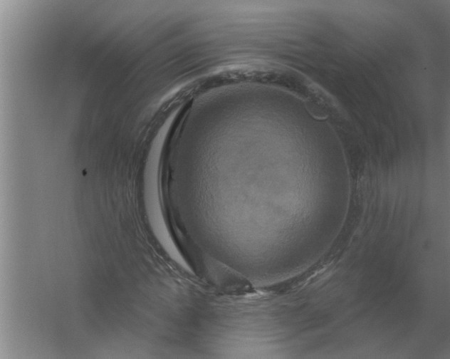 X0000059840822200511041811