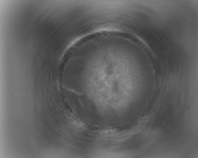 X0000059840823200511041811