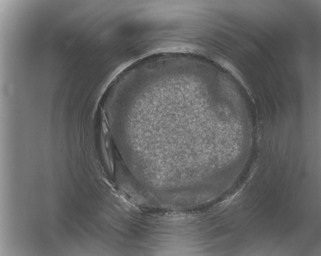 X0000059840829200511041811