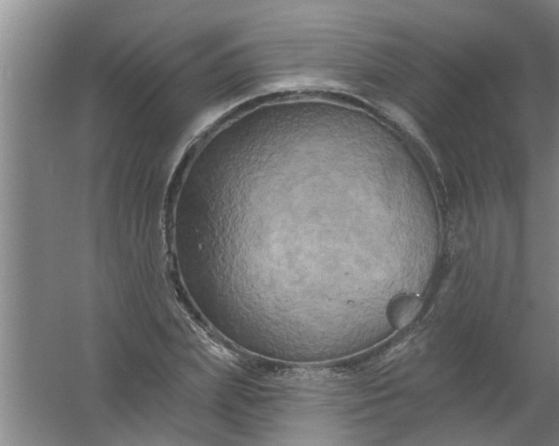 X0000059840831200511041811