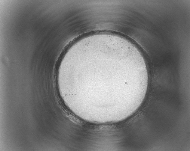 X0000059840832200511041811