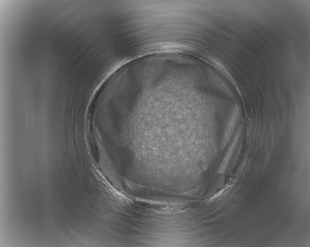 X0000059840835200511041811