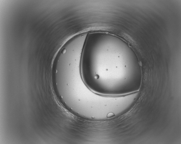 X0000059840836200511041811