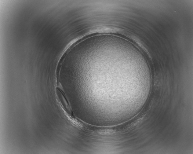 X0000059840837200511041811