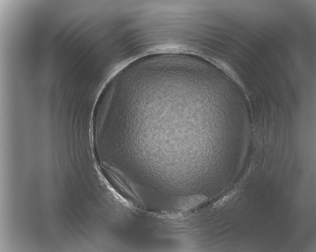 X0000059840839200511041811