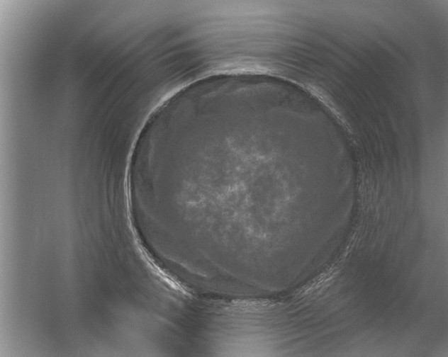 X0000059840840200511041811