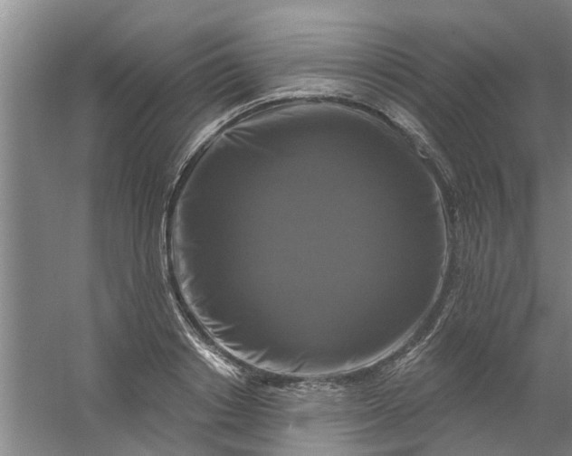 X0000059840842200511041811