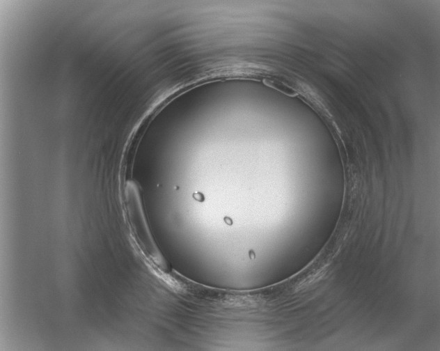 X0000059840843200511041811