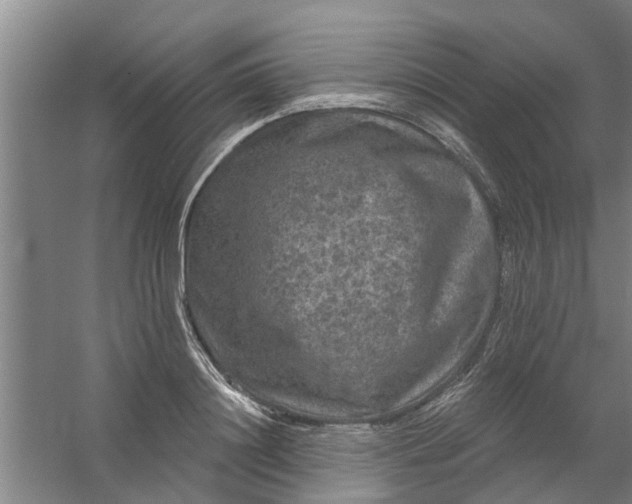 X0000059840844200511041811