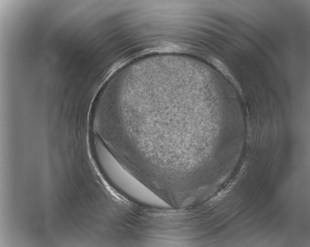 X0000059840845200511041811