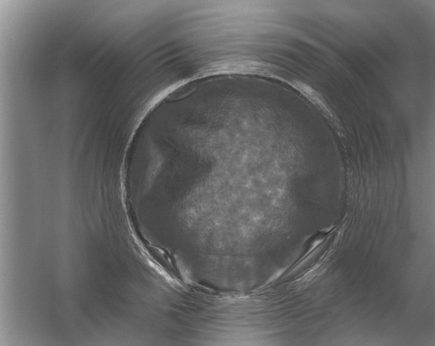 X0000059840846200511041811