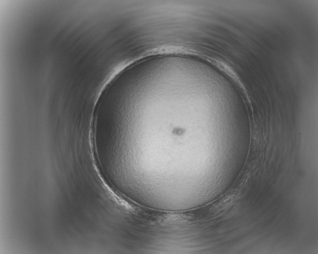 X0000059840847200511041811