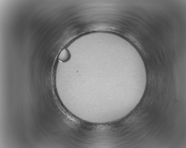 X0000059840848200511041811