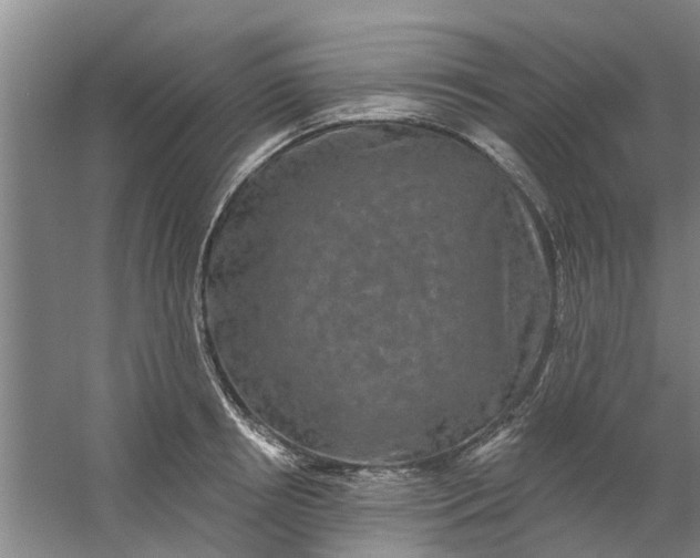 X0000059840850200511041811