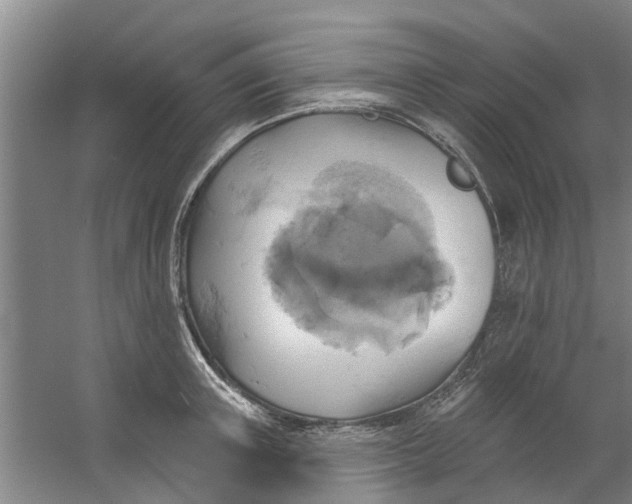 X0000059840851200511041811