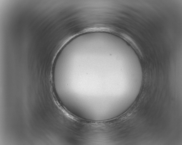 X0000059840852200511041811