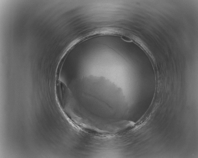 X0000059840853200511041811