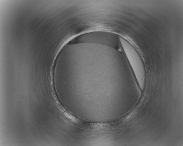 X0000059840854200511041811