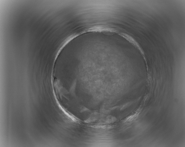 X0000059840855200511041811