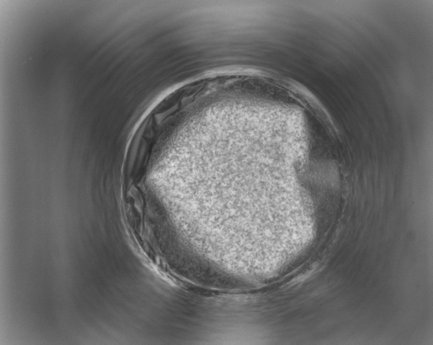 X0000059840860200511041811