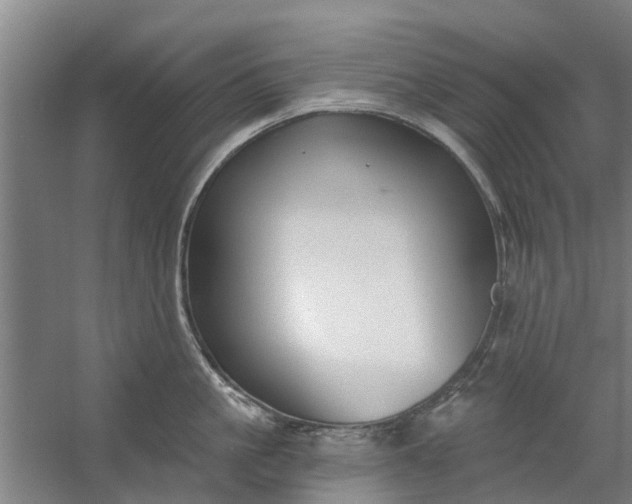 X0000059840861200511041811