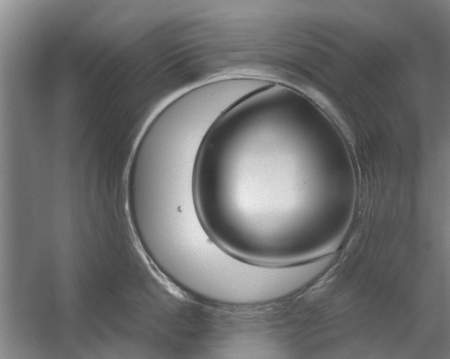 X0000059840862200511041811