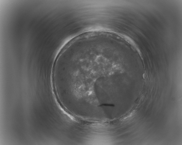 X0000059840863200511041811