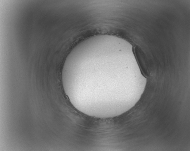 X0000059840865200511041811