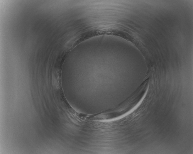 X0000059840868200511041810