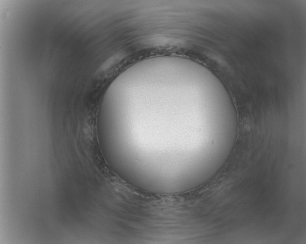 X0000059840869200511041810