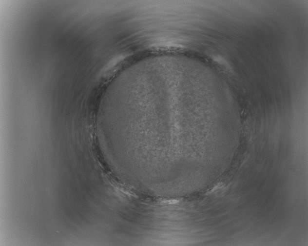 X0000059840870200511041810