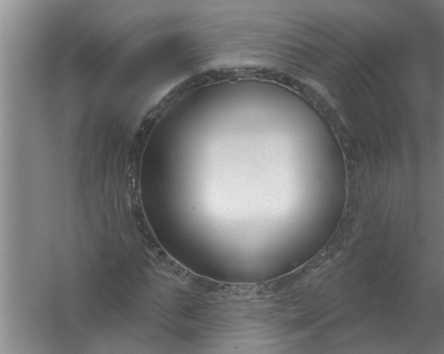 X0000059840871200511041810