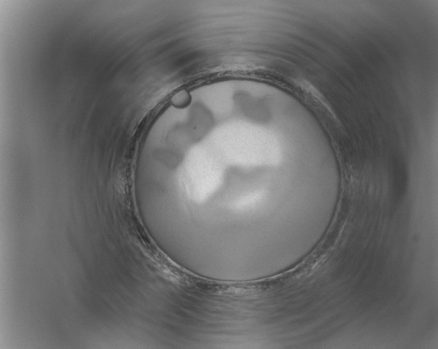 X0000059840874200511041810