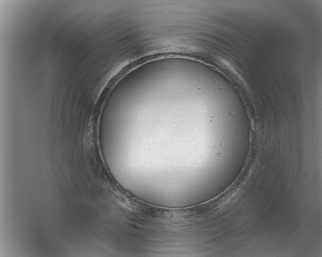 X0000059840875200511041810