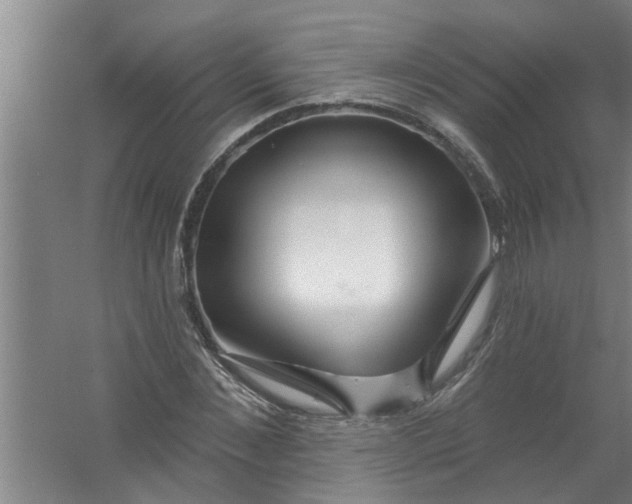 X0000059840876200511041810