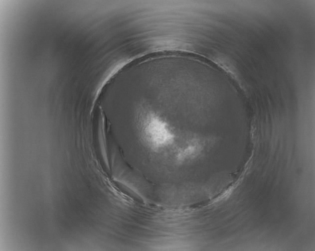 X0000059840877200511041810