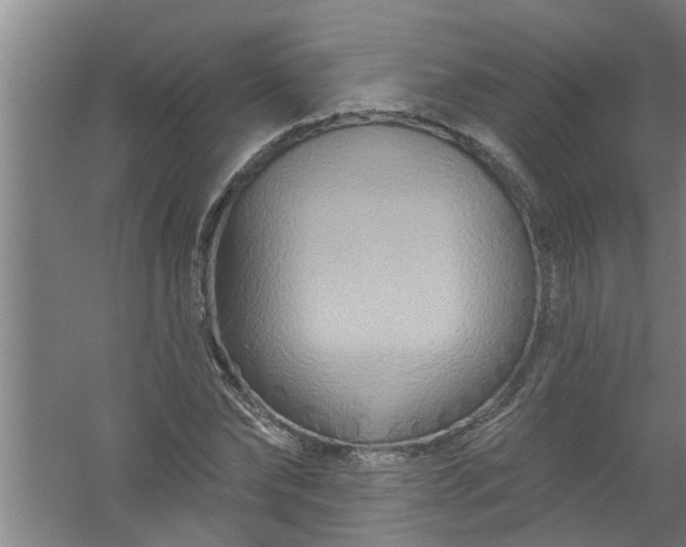 X0000059840878200511041810