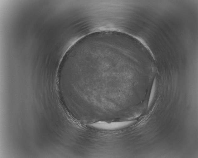 X0000059840879200511041810