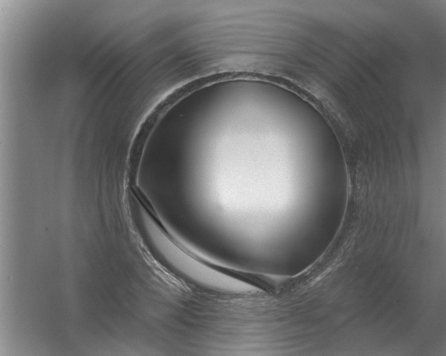 X0000059840880200511041810