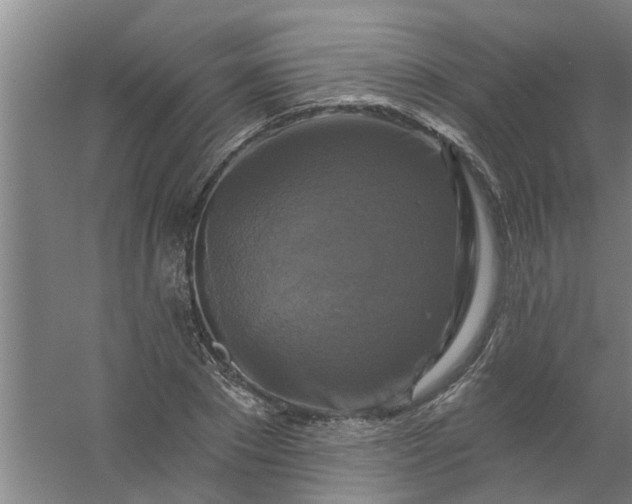 X0000059840881200511041810