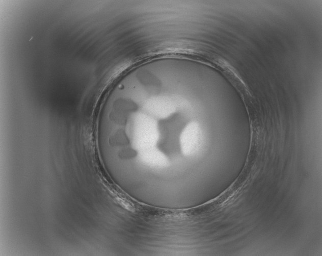 X0000059840882200511041810