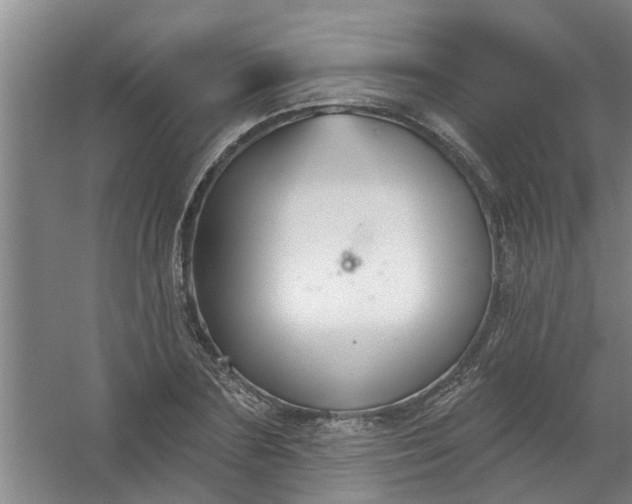 X0000059840883200511041810